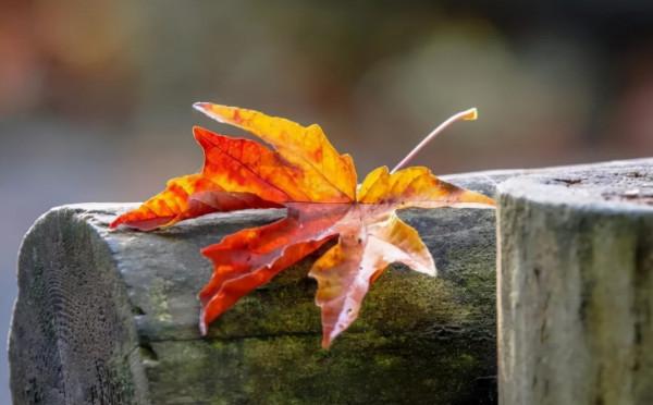 人生總有一段難熬的日子,熬過去,你就贏了 人生總有一段難熬的日子,熬過去,你就贏了