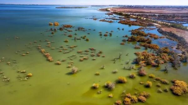 我國愣是從沙漠中挖出個水庫,還是亞洲最大?這在當地卻飽受爭議 我國愣是從沙漠中挖出個水庫,還是亞洲最大?這在當地卻飽受爭議
