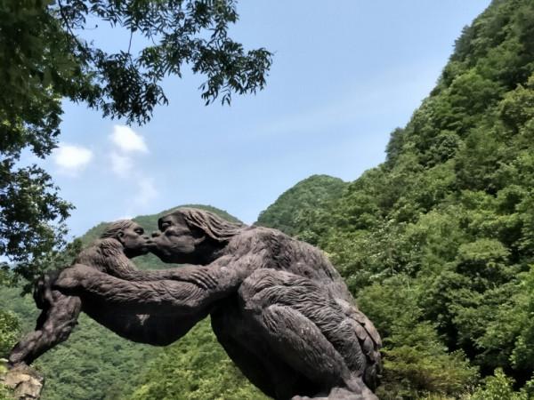 中國神農架深處真的不被允許前往嗎?為什麼要設立人類禁區? 中國神農架深處真的不被允許前往嗎?為什麼要設立人類禁區?