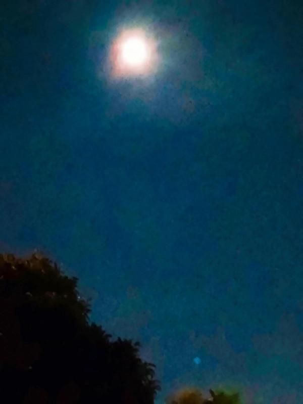 雲洞書院•金蟾衘月 雲洞書院•金蟾衘月