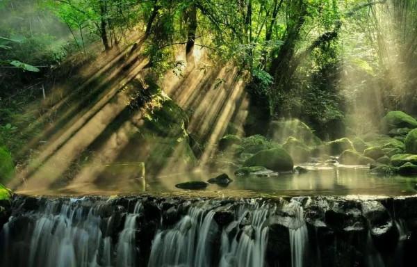 12星座的“史前”故事：願給寒冬中的你，一個溫暖的擁抱