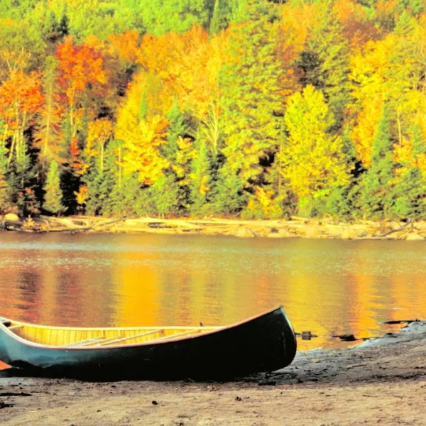 秋天到~ 加拿大的楓葉季太美啦！絕美賞楓地點推薦