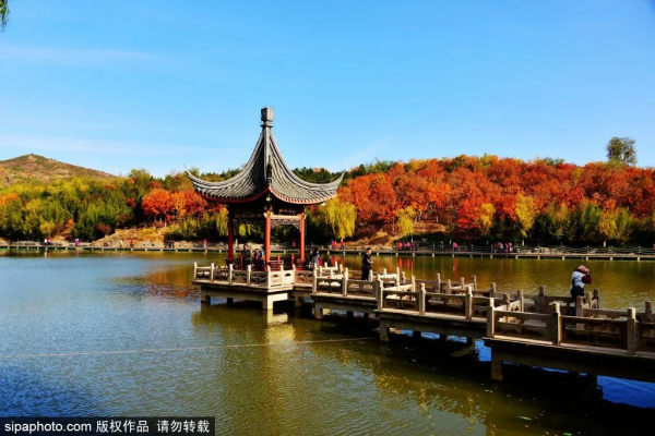 部分免費！北京賞秋“價效比”最高選擇都在這兒了！