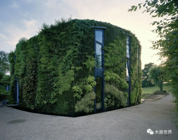 這樣建房子，城市熱島效應？不存在的！——Brussels 木屋住宅