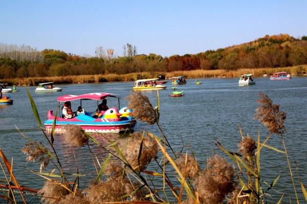 去奧森公園，盡享“京”彩秋色 #秋日好時光##小生活，大財富#