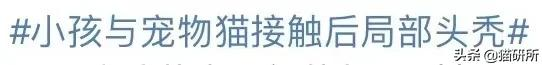 恙蟲病、鸚鵡熱、蠕形蟎、頭癬…吸貓風險這麼高？