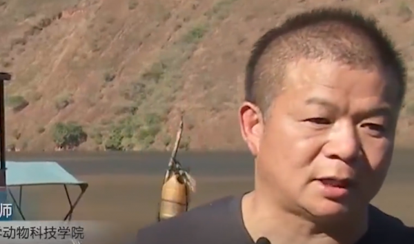 2009年老闆投入6000萬尾魚苗，魚集體失蹤，4年後靠魚年收3000萬