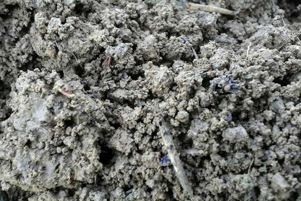 酒莊科普 | 尊崇天然有機的「Raina酒莊」