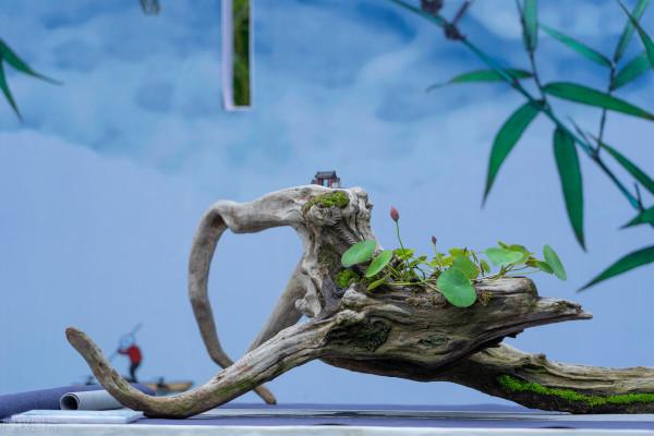 美景的初戀 美景的初戀