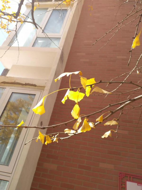 晚年的健康是你中老年工作生活習慣的形成的 晚年的健康是你中老年工作生活習慣的形成的