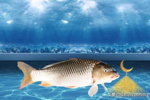 冬天釣魚，為什麼窩裡魚很多，魚口卻不好？原因如下