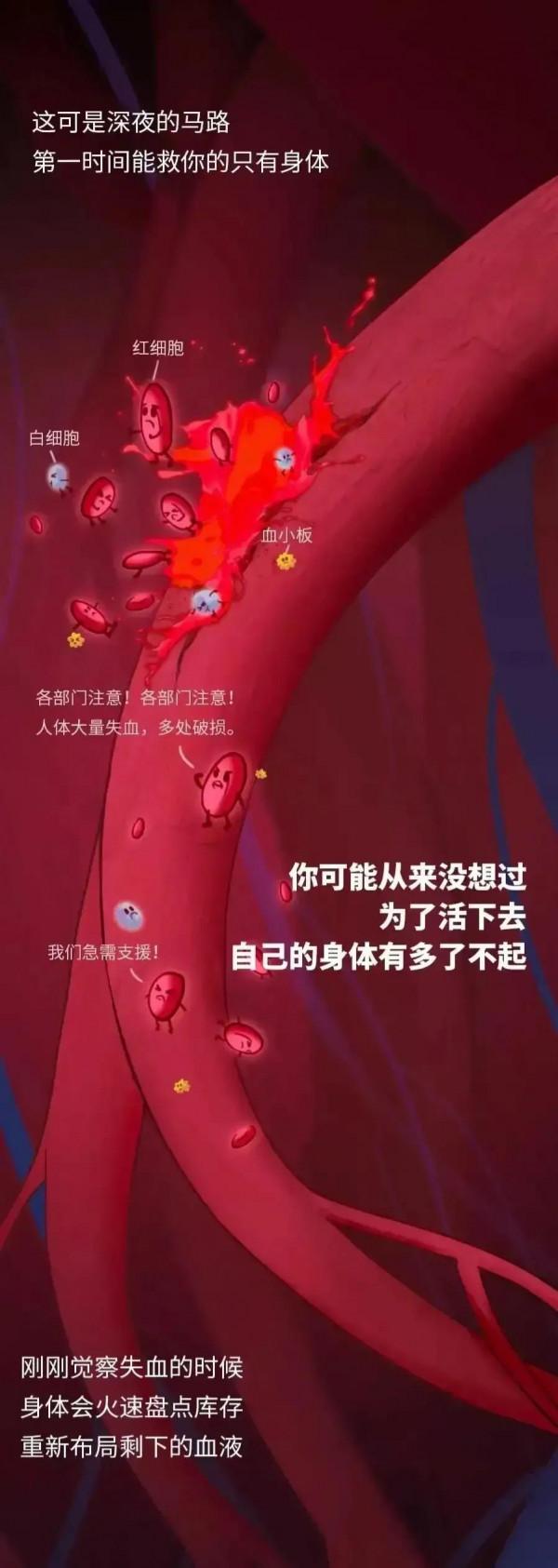 震撼!請你一定要記得,有一具永不拋棄你的身體 震撼!請你一定要記得,有一具永不拋棄你的身體