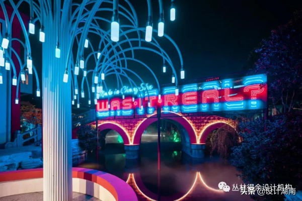 作品欣賞｜叢林得餘：小仙女們的龍蝦美食夜店