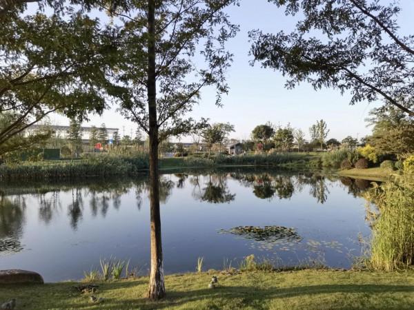 臨平區藝尚小鎮 臨平區藝尚小鎮