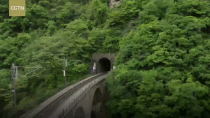 “中國最溫情火車”，1塊錢票價：有人賣菜吆喝，有人畫畫讀書…