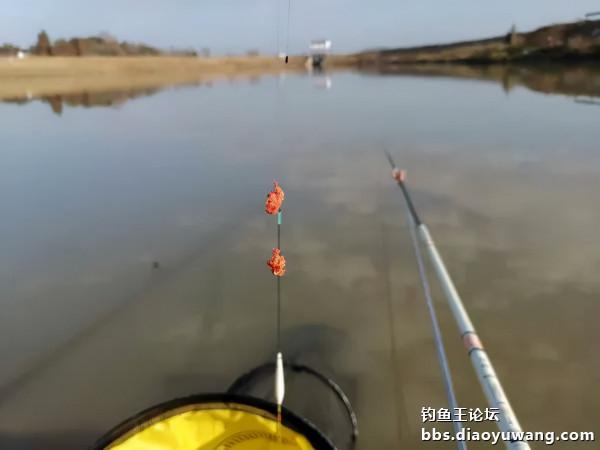 轉戰兩地，終獲一碗鮮