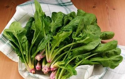 87歲骨科院士研究骨質疏鬆30餘年 3類食物是“爛骨王”儘量少吃