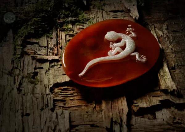 中國第七屆“神工獎”