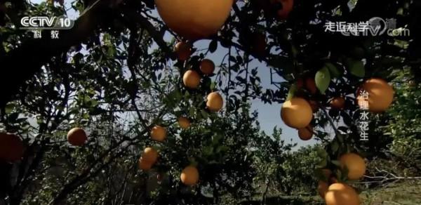 央視“鬧鬼”節目停播:《走近科學》往事 央視“鬧鬼”節目停播:《走近科學》往事