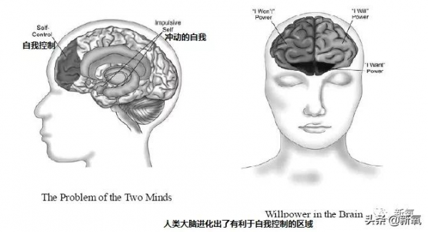 第一次聽說走路也能吸粉? 第一次聽說走路也能吸粉?