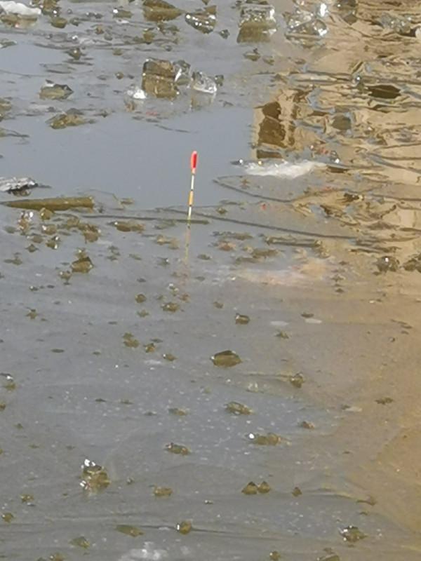 惡劣天氣也阻擋不了釣魚人的腳步，餵魚時刻準備著……