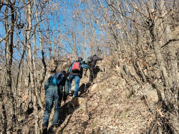 遊汝陽西石林之一武家山