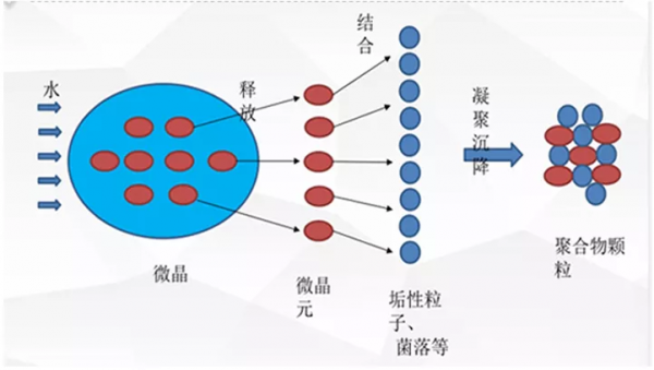 關於淨化淨水你還不知道的那些事