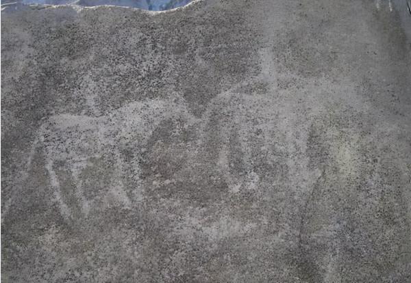 天賜之地——和布克賽爾