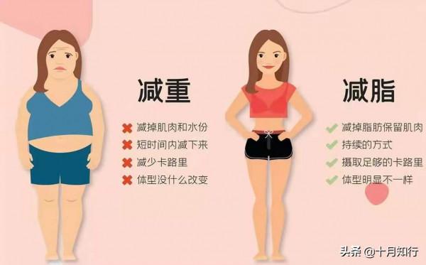 想要變瘦且身材變好？肌肉質量是重點，減脂，如何避免肌肉流失