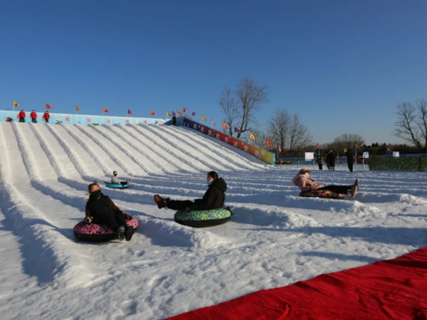 元旦去哪玩？賞花燈、看錶演、戲冰雪……