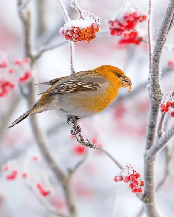 八卦資訊及含義（兌卦）