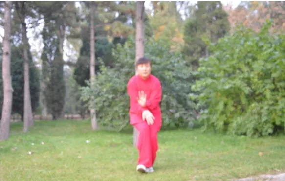 戴氏心意拳樁功——蹲猴猴