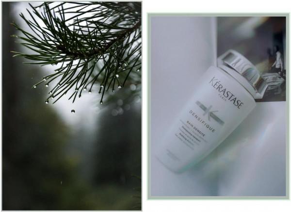 好物分享（洗護輯）| 不如宅著，帶著泡泡與芬芳