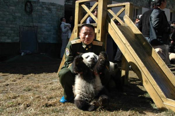 我和國寶大熊貓的N次親密接觸