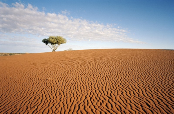 人口密度最低的10個國家排名,人口密度最高的20個國家排名 人口密度最低的10個國家排名,人口密度最高的20個國家排名