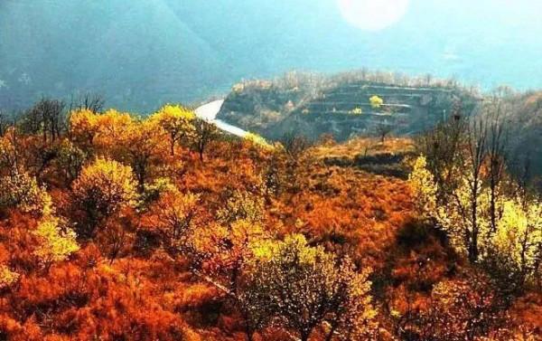 秋季京西這條路，美得如同斑斕的油畫