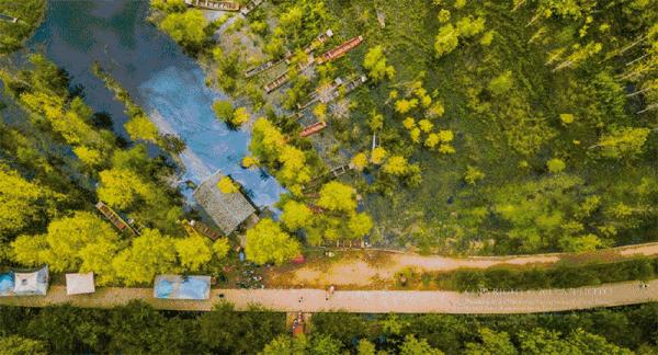 瀘沽湖畔格桑花開，探尋最後的女兒國