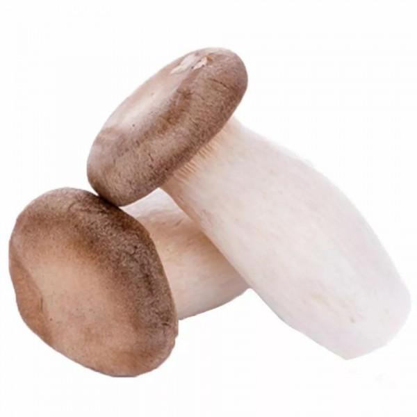 12月份吃什麼好？記得做10種食材，花錢少，吃得好，平安過冬