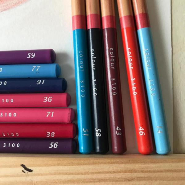 多肉植物彩鉛畫全過程（1-2）