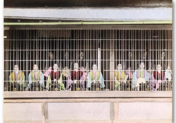 別被日劇給騙了！真實的吉原花魁，人前風光下場悽慘