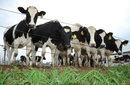 區塊鏈技術推動農業高質量發展；溫氏：2021年淨虧損超過30億元