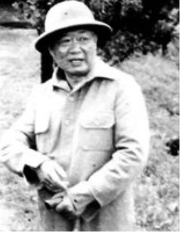 金三角上世紀三大武裝販毒集團興衰記