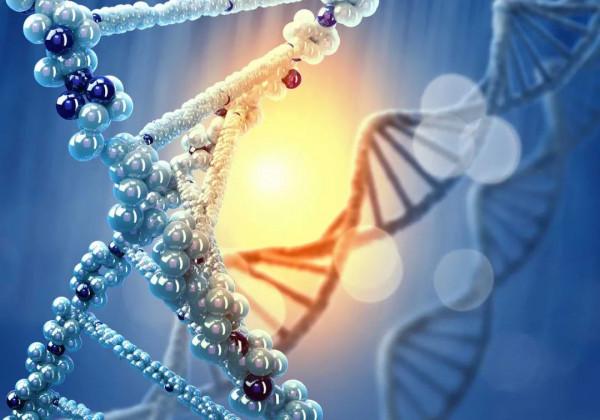 透過基因測序,可能有助於預測哪些患者會經歷化療引起的心臟毒性 透過基因測序,可能有助於預測哪些患者會經歷化療引起的心臟毒性