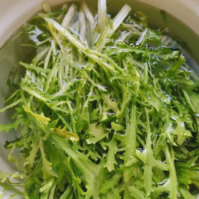 減脂人士❤️溫拌苦菊沙拉~輕鹽低脂 減脂人士❤️溫拌苦菊沙拉~輕鹽低脂