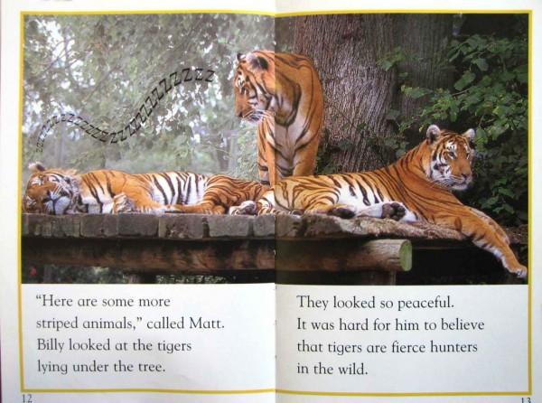 兒童英語科學啟蒙繪本DK Readers分級讀物DK pre--level 4