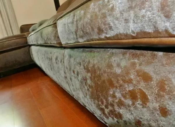 內外牆用這種材料工藝，牆壁永不漏水返潮