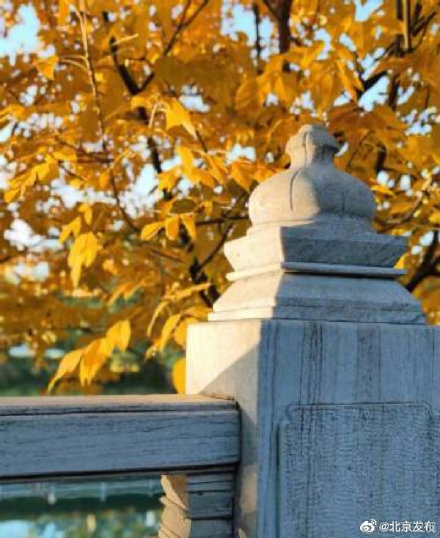北京城的紅葉美翻了