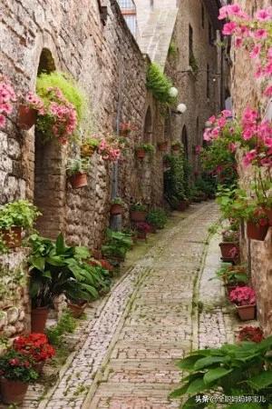 分享——美景小道