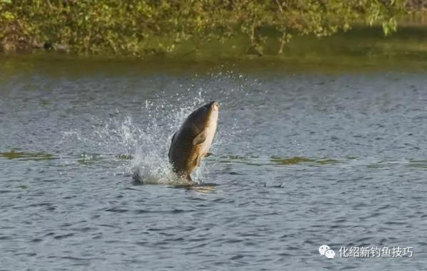 水底型別不同,針對施釣亦不同!參考經驗在這裡 水底型別不同,針對施釣亦不同!參考經驗在這裡