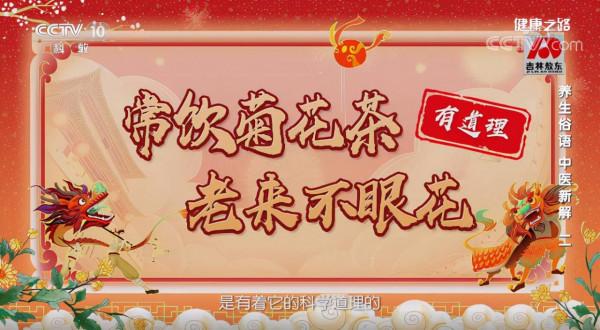 「健康過大年」過節選物看這裡 挑選菊花有講究 明目要選杭白菊